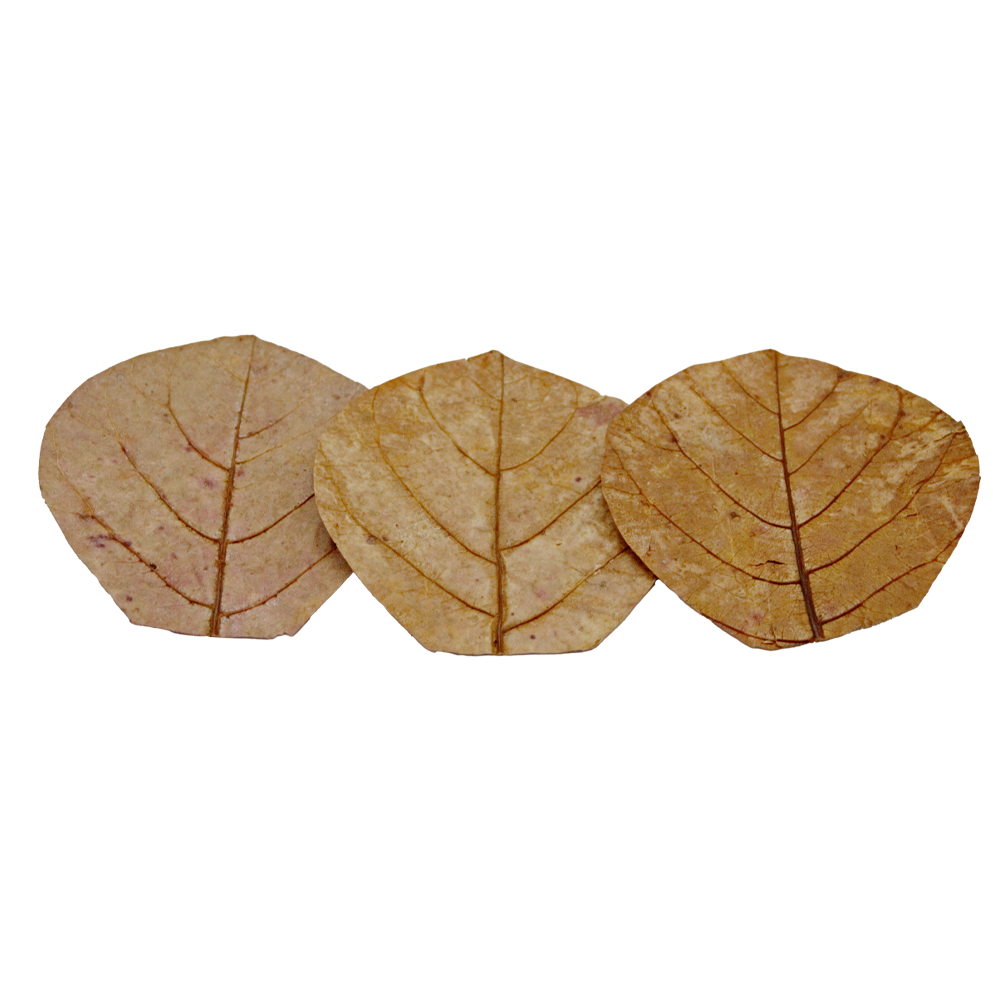 HydrOasis™ Nano Catappa Leaves