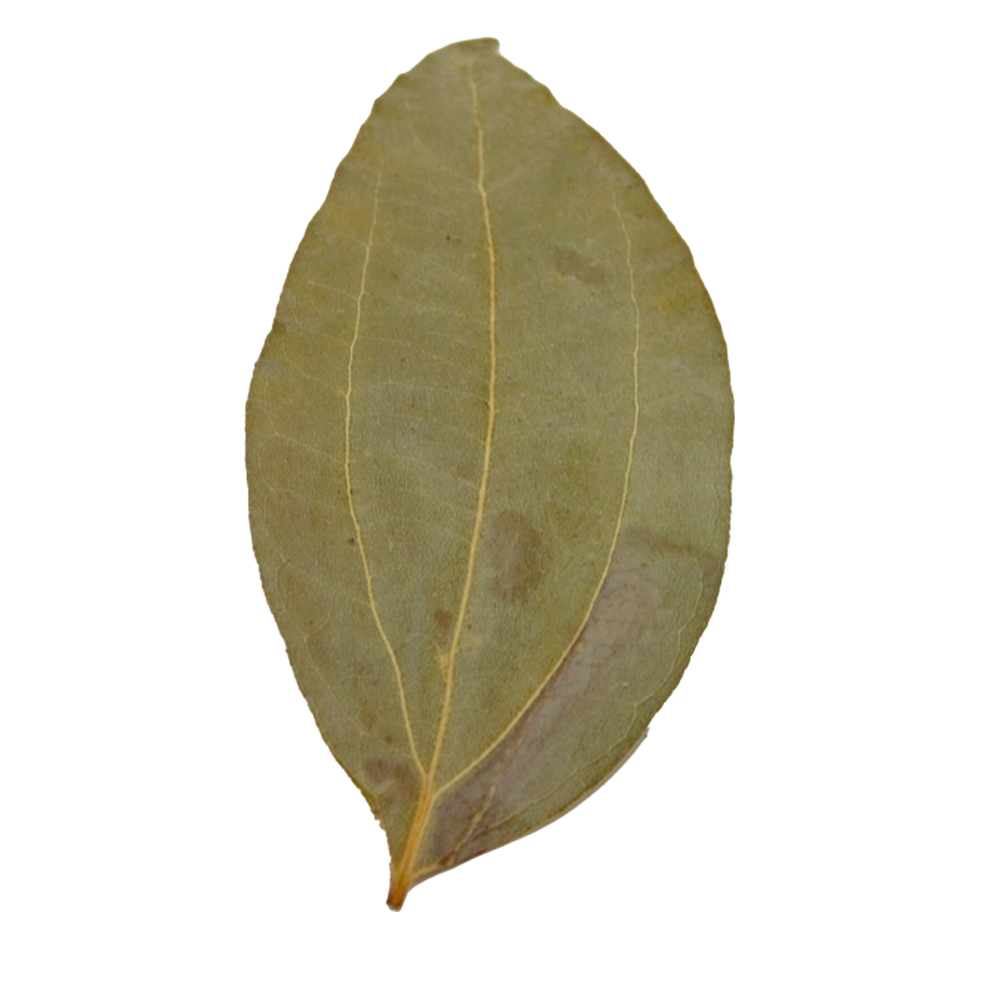 HydrOasis™ Cinnamon Leaves