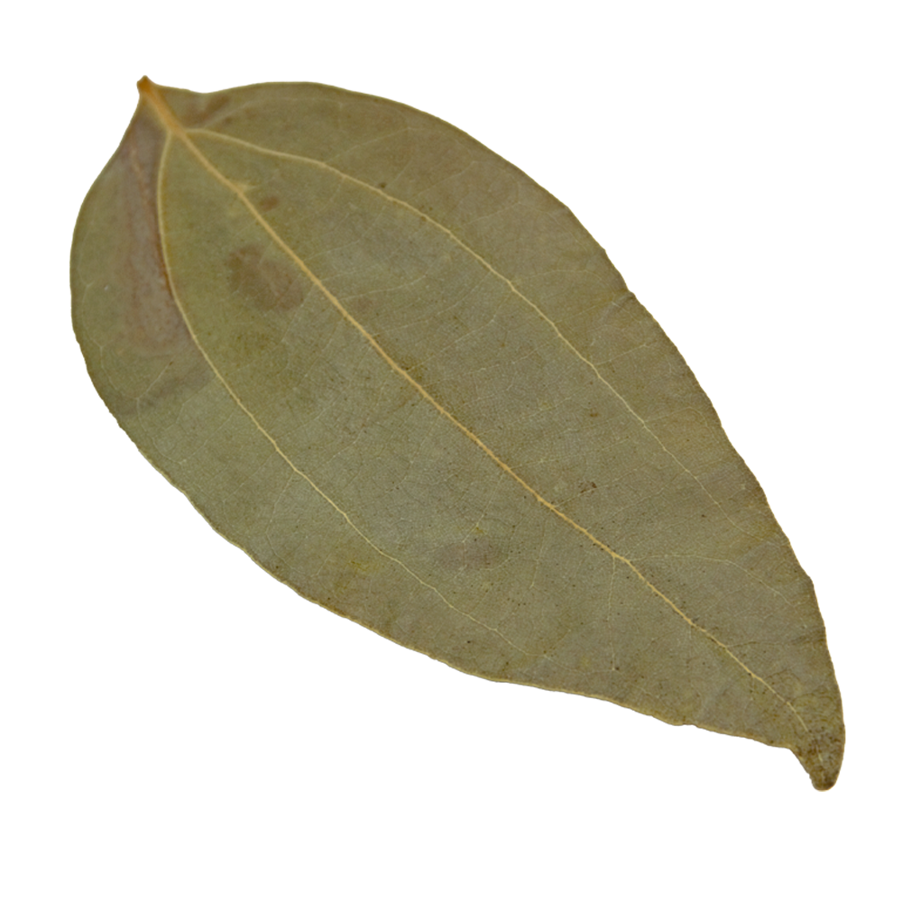 HydrOasis™ Cinnamon Leaves