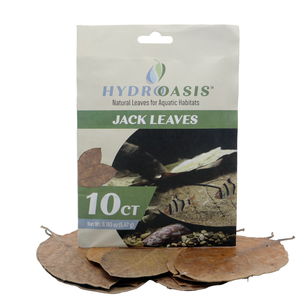 HydrOasis™ Jack Leaves