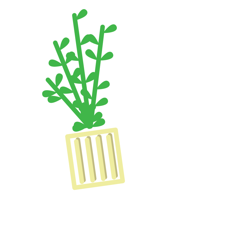 Remove plant from plastic pot