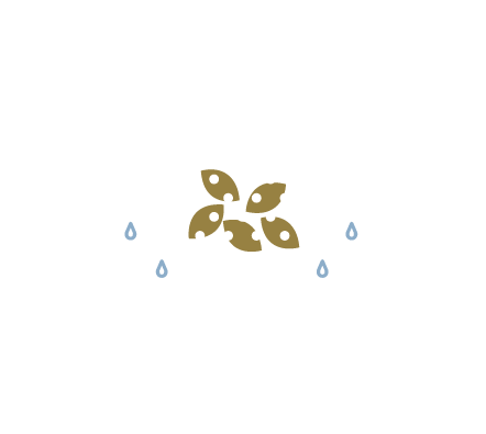 Strain leaves completely