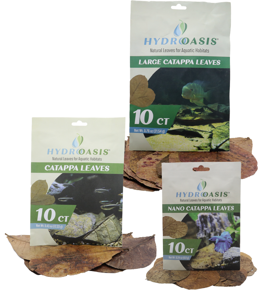 HydrOasis™ Catappa Leaves