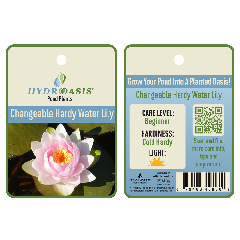 HydrOasis™ Changeable Hardy Water Lily tag