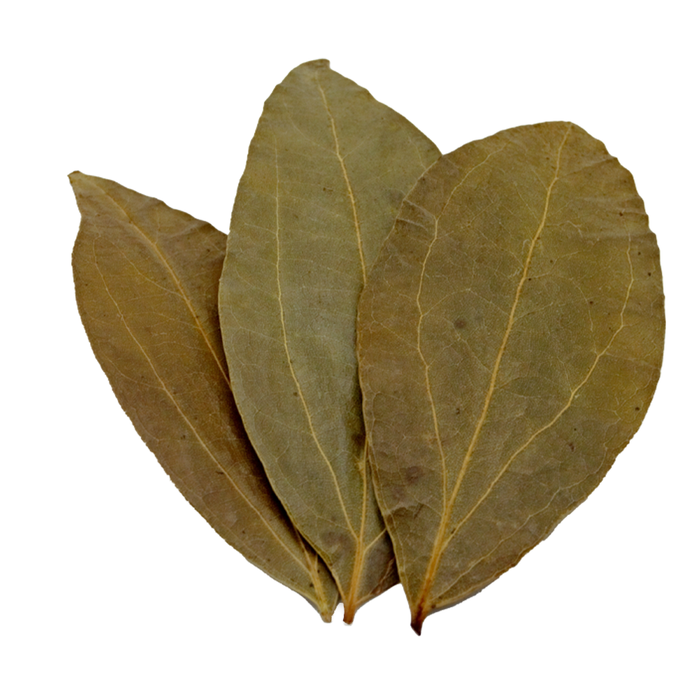 HydrOasis™ Cinnamon Leaves