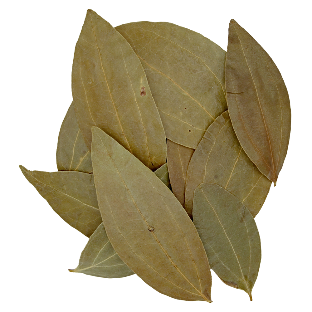 HydrOasis™ Cinnamon Leaves