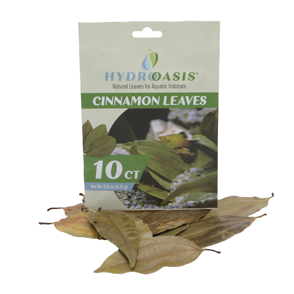 HydrOasis™ Cinnamon Leaves