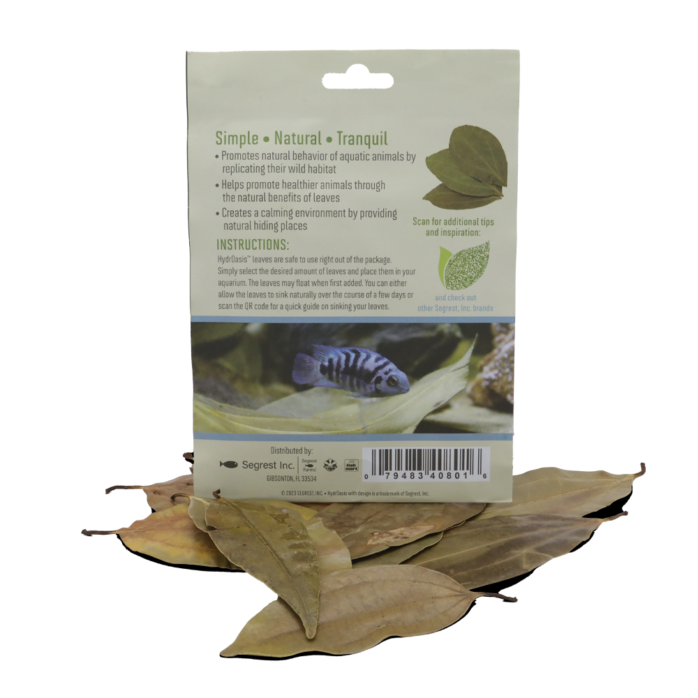 HydrOasis™ Cinnamon Leaves