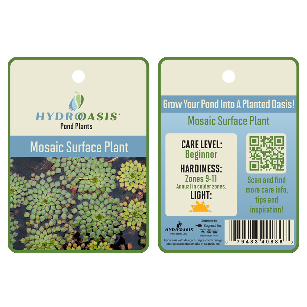 HydrOasis™ Mosaic