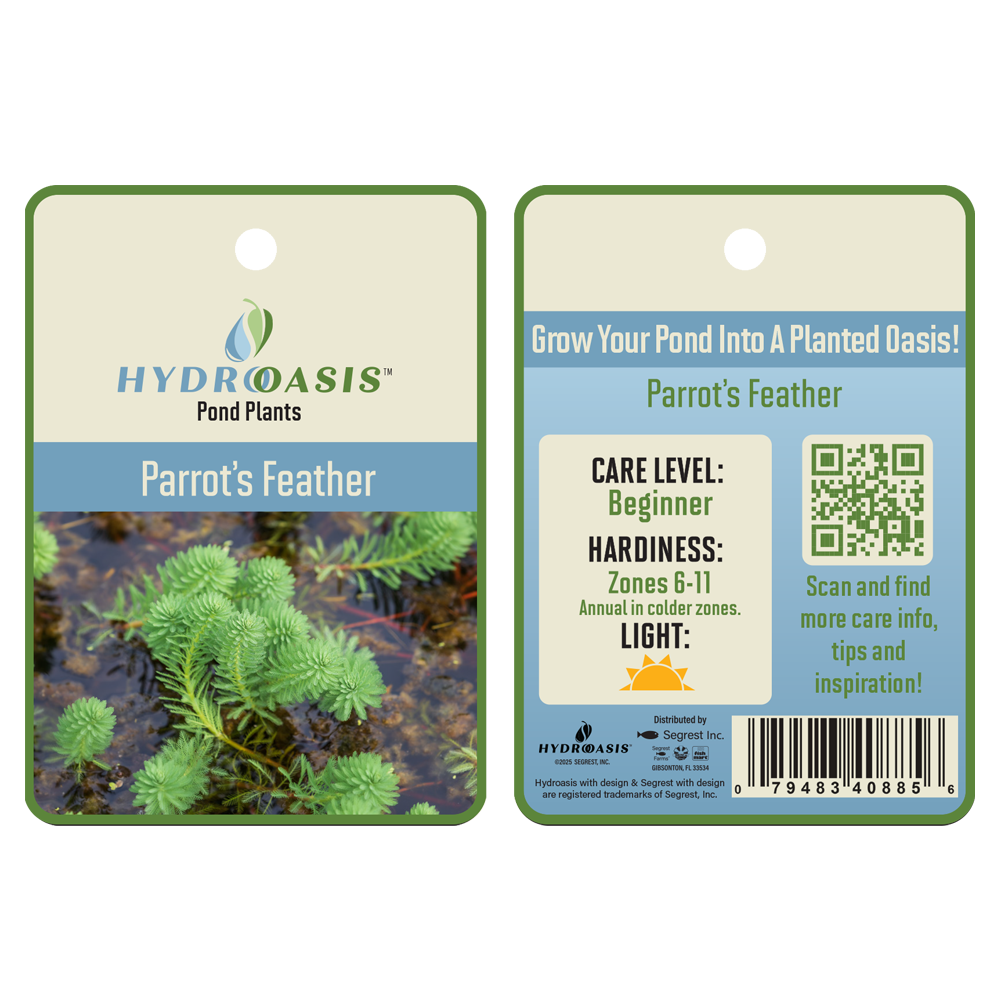 HydrOasis™ Parrot Feather tag