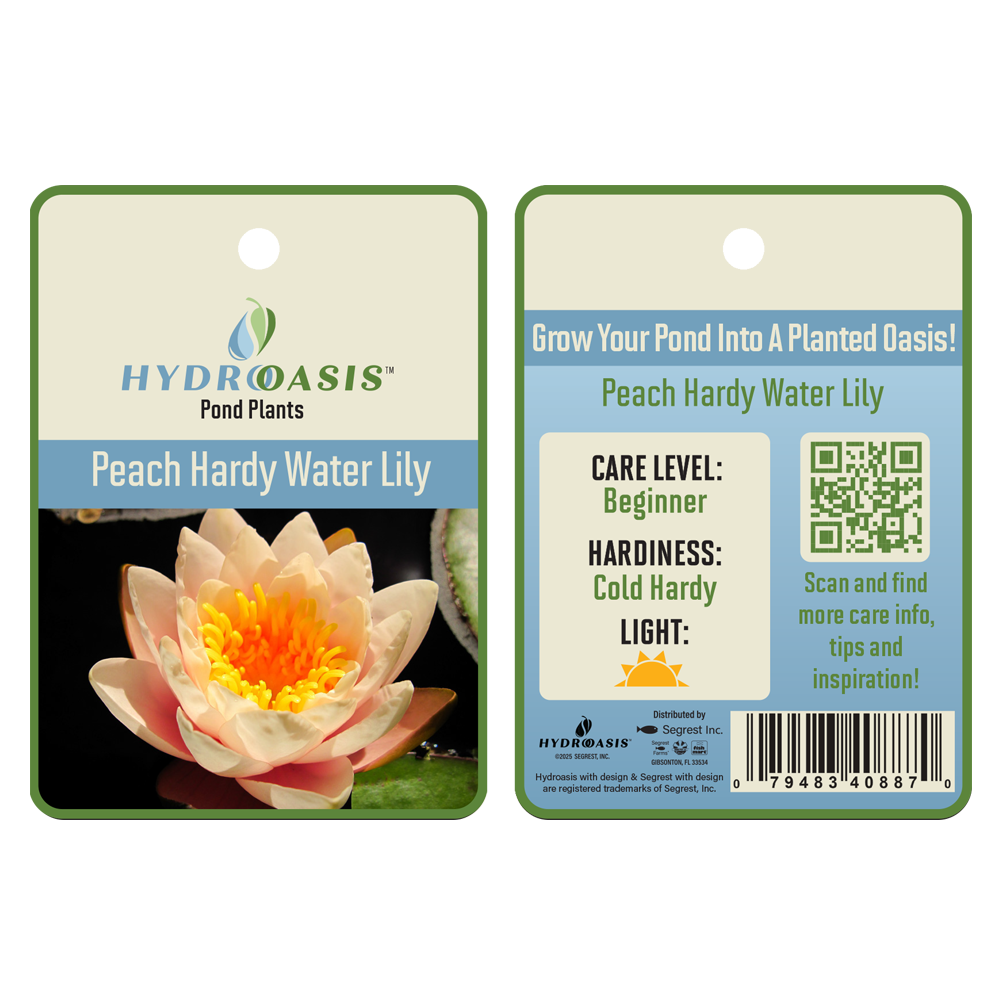 HydrOasis™ Pink Hardy Water Lily tag