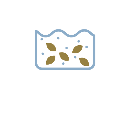 Leaves and pods can be submersed in hot de-chlorinated water or boiled until slightly softened