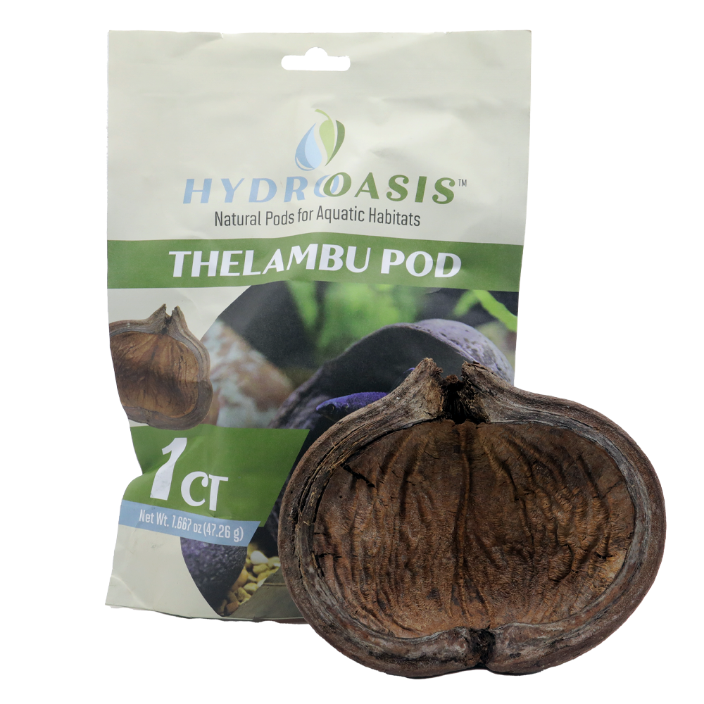 HydrOasis™ Thelambu Pod