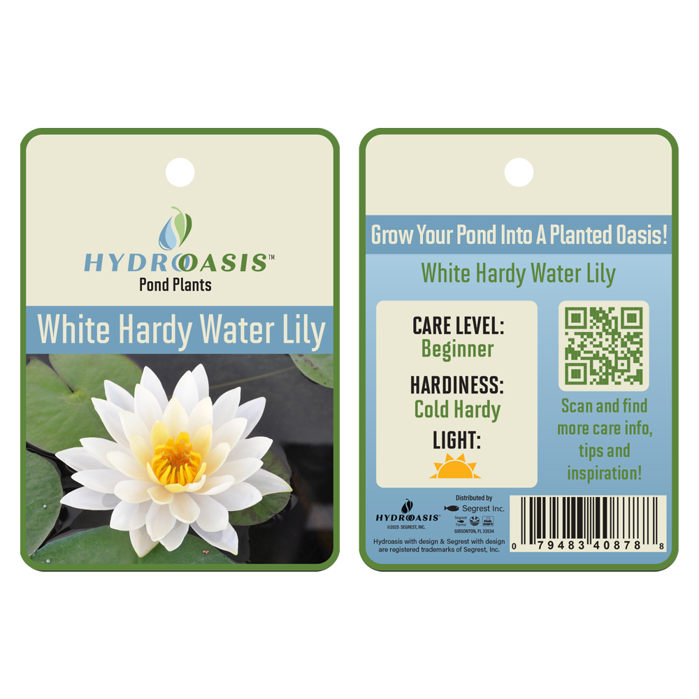 HydrOasis™ White Hardy Water Lily tag
