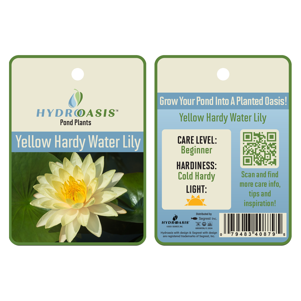 HydrOasis™ Yellow Hardy Water Lily tag