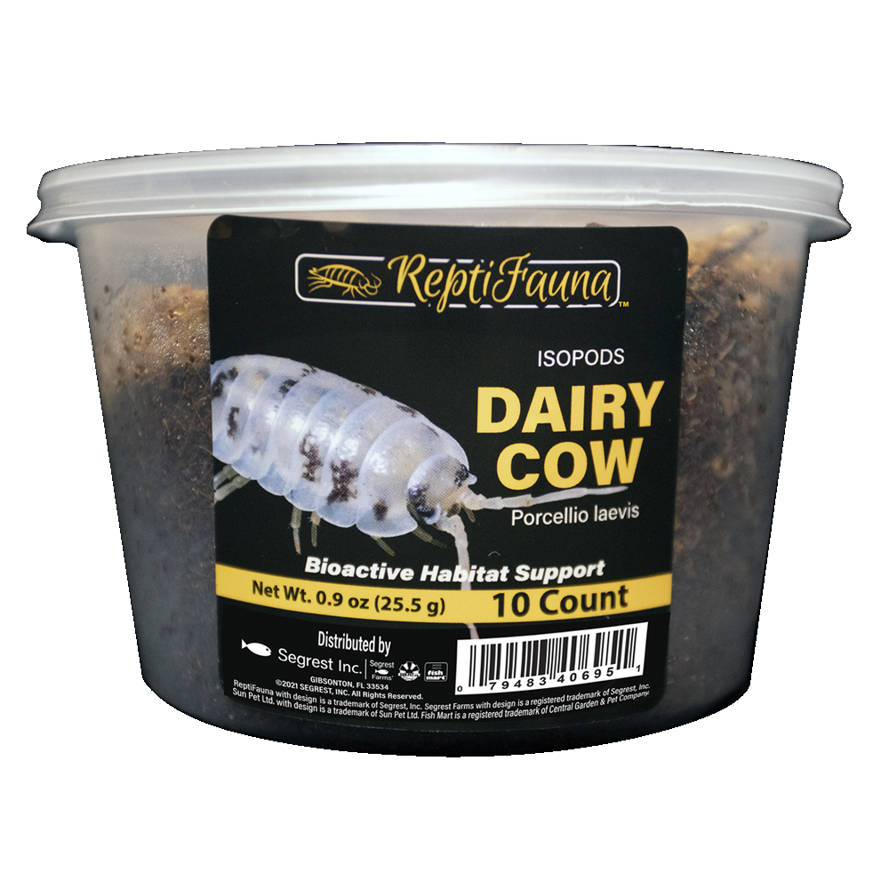 ReptiFauna™ Isopods Dairy Cow