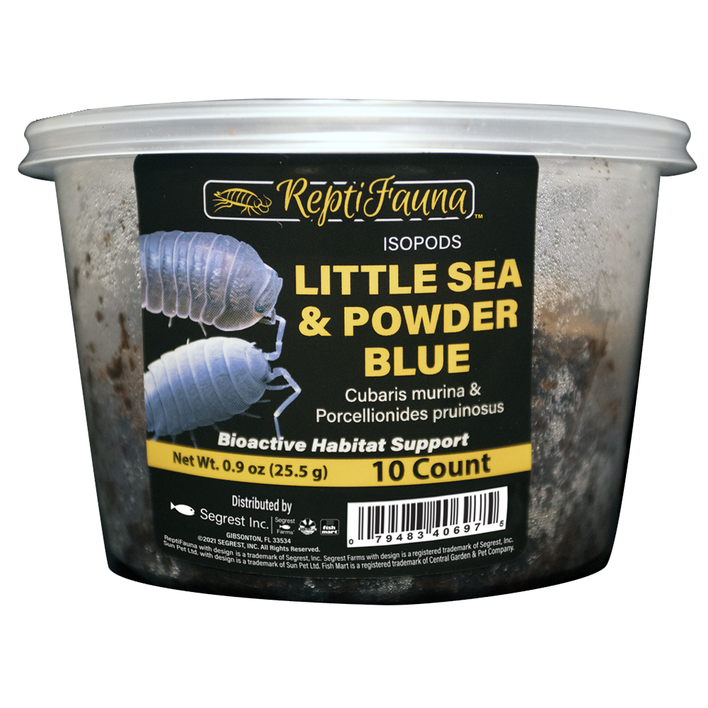 ReptiFauna™ Isopods Little Sea & Powder Blue