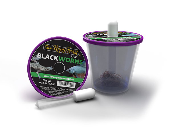 Blackworms
