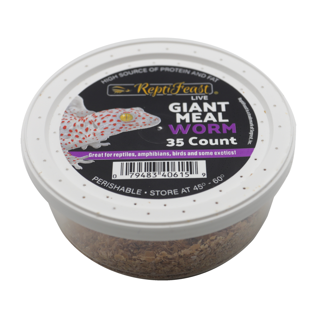 ReptiFeast® Giant Mealworm 35 count
