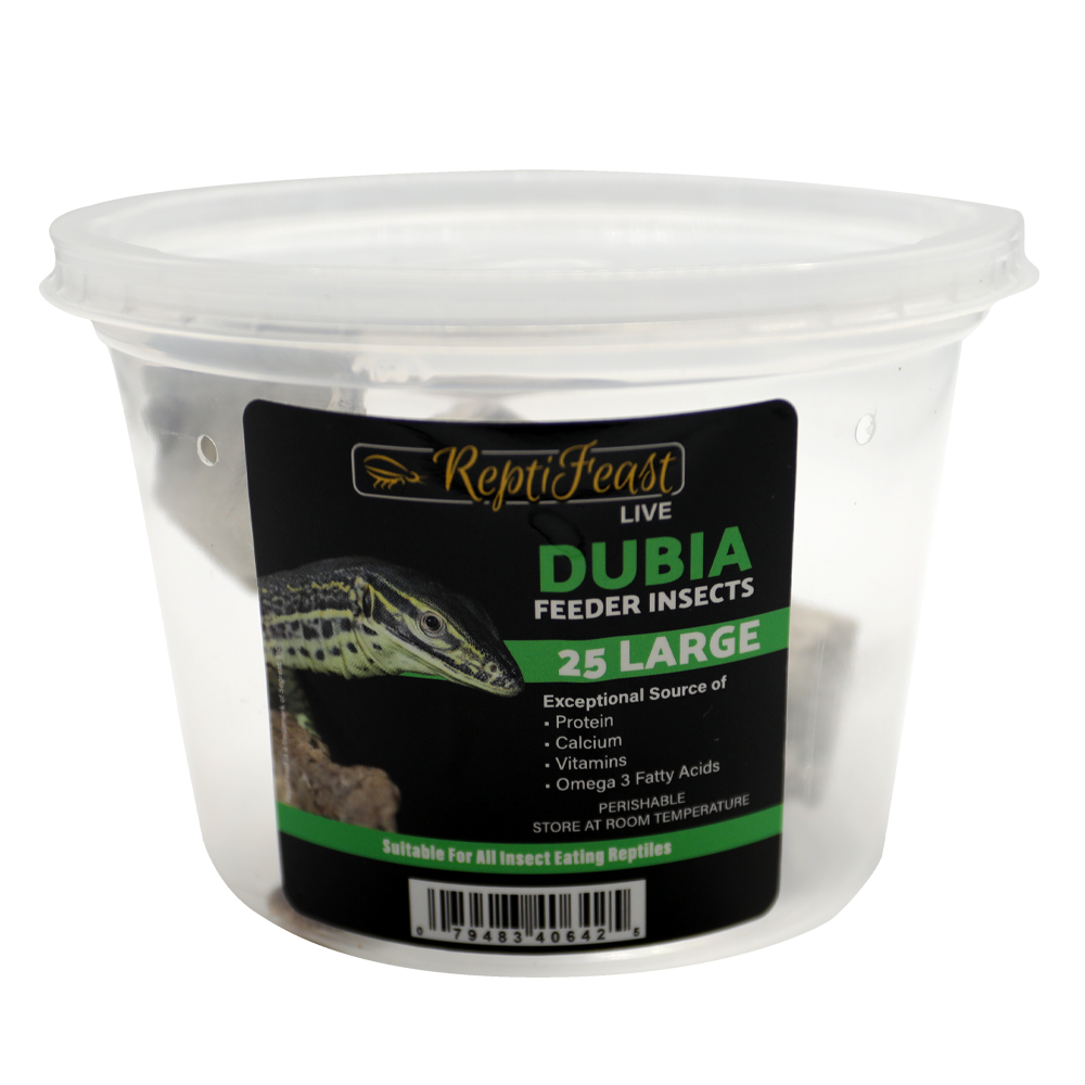 ReptiFeast® Dubia Large 25 count