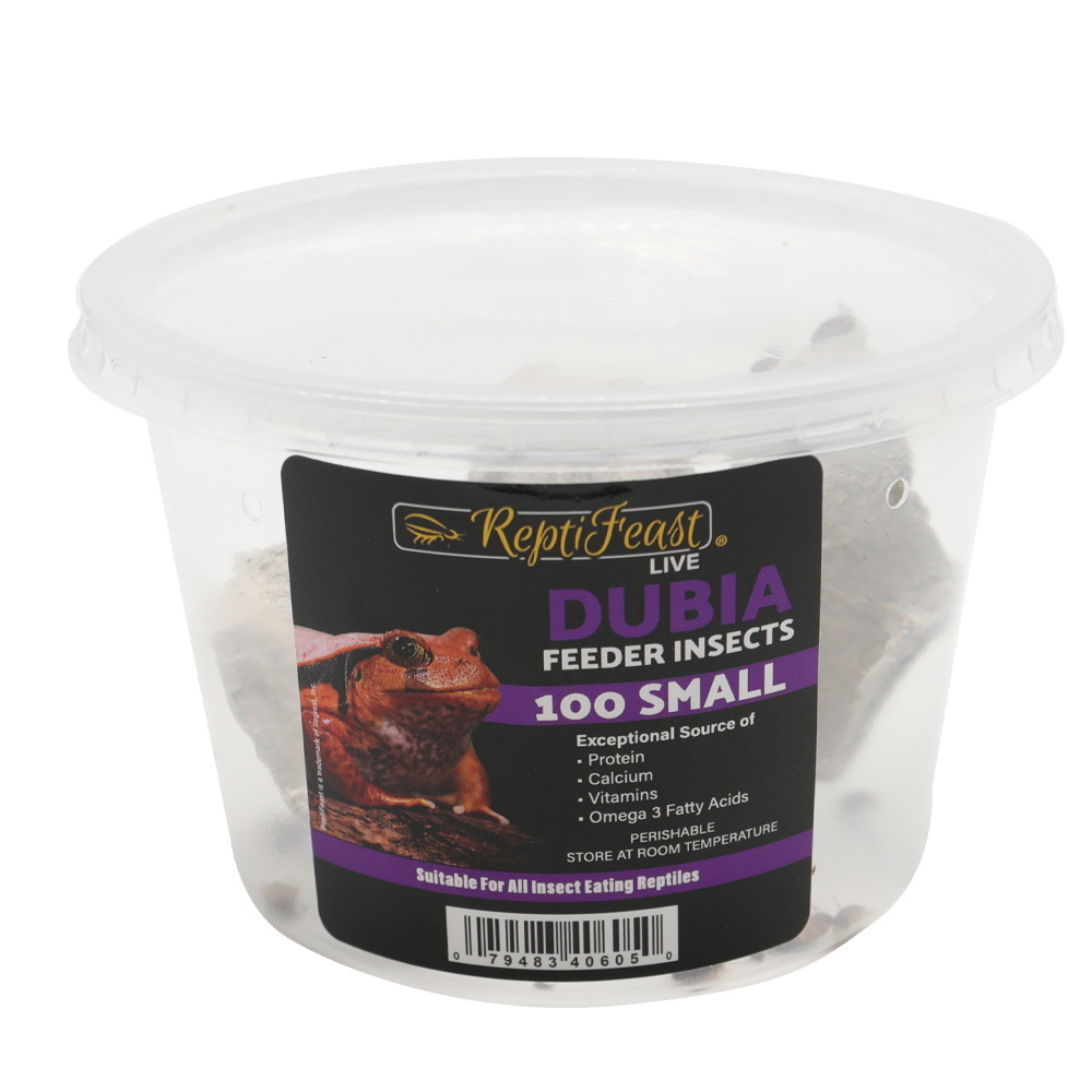 ReptiFeast® Dubia Small 100 count
