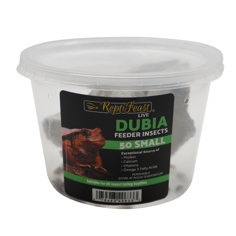 ReptiFeast® Dubia Small 50 count
