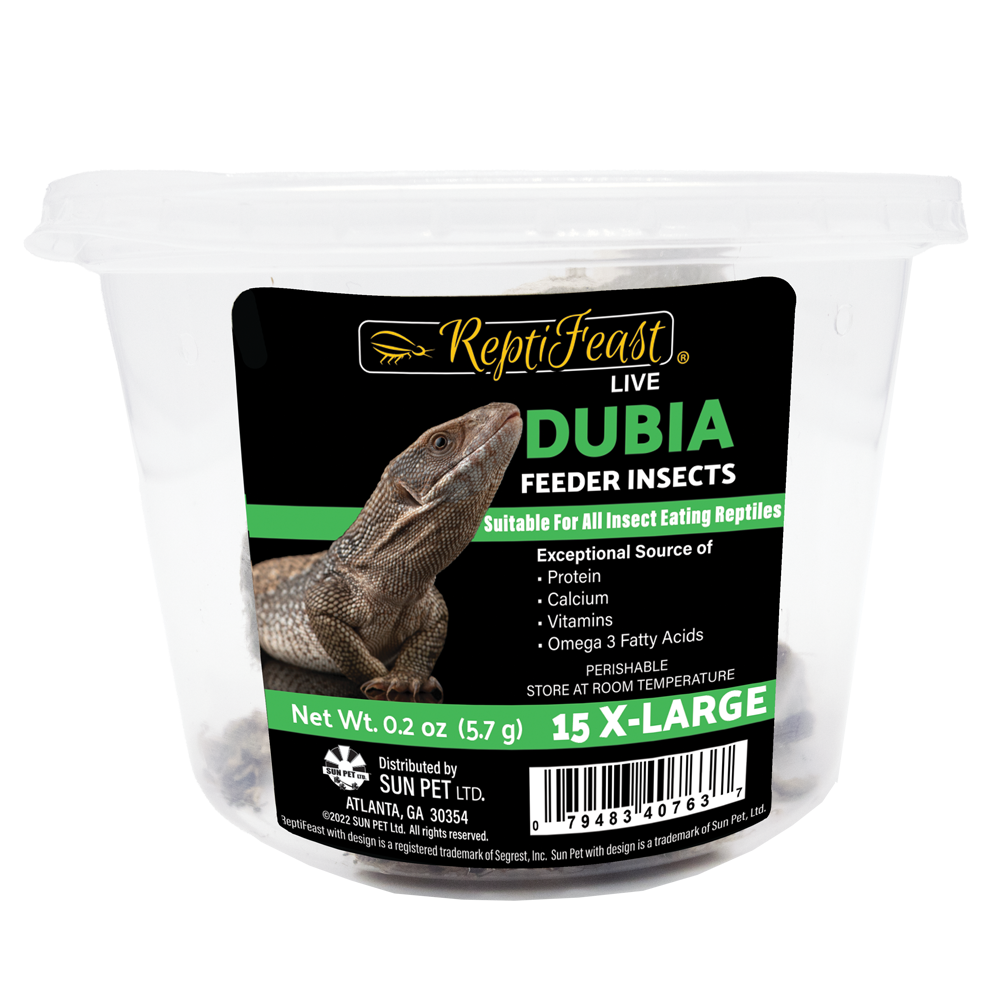 ReptiFeast® Dubia Extra Large 15 count